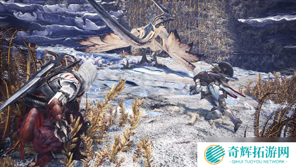 《怪猎：世界》X《刺客信条》联动任务即将结束