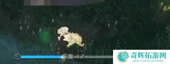 逆水寒手游幽谷寻茵怎么过 逆水寒手游幽谷寻茵怎么过