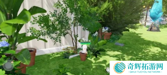 开放空间收藏品在哪得