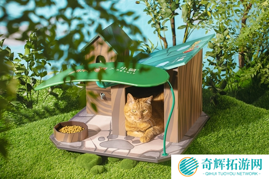 《部落冲突》联名小佩宠物共筑“流浪英雄小屋”，宠物也是大英雄