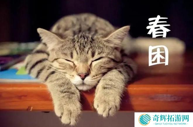 想要缓解春困，以下哪种方法更有效