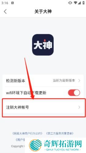 网易大神安装包