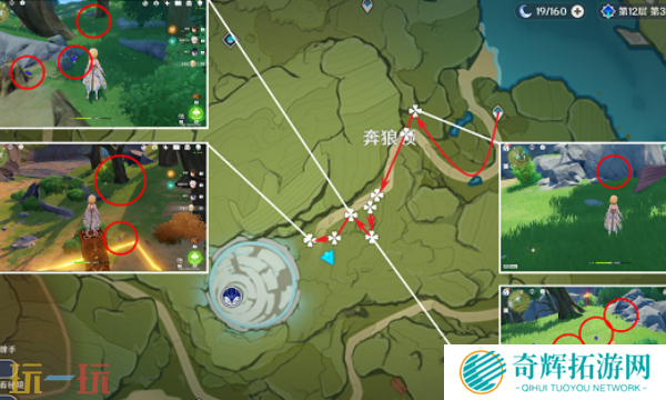 原神钩钩果在哪里获取 钩钩果采集路线