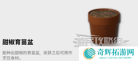 《云族裔inzoi》锁定家具解锁方法 家具怎么解锁