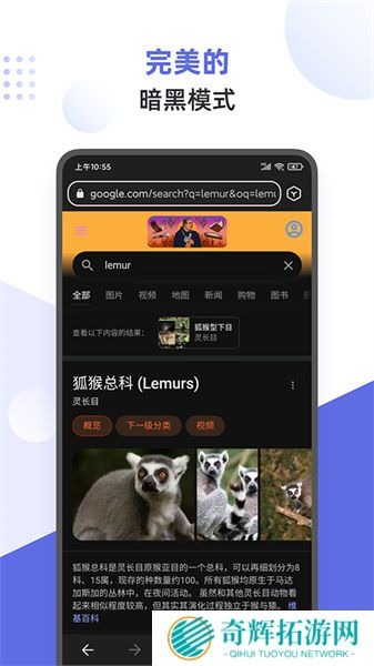 狐猴浏览器手机版