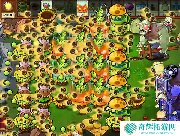 植物大战僵尸杂交版汉堡王3怎么过 植物大战僵尸杂交版汉堡王3通关攻略