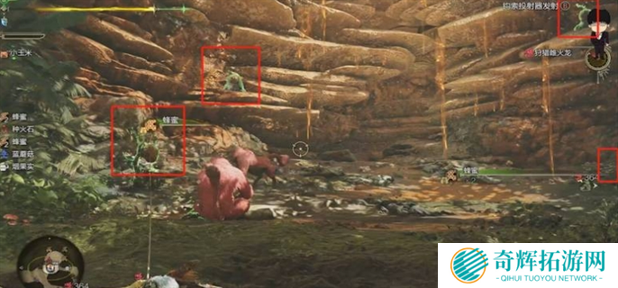 怪物猎人荒野速刷**菇方法图九