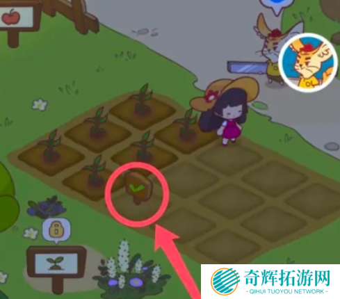 彩虹棉花糖小店购买8块田地任务完成攻略图二