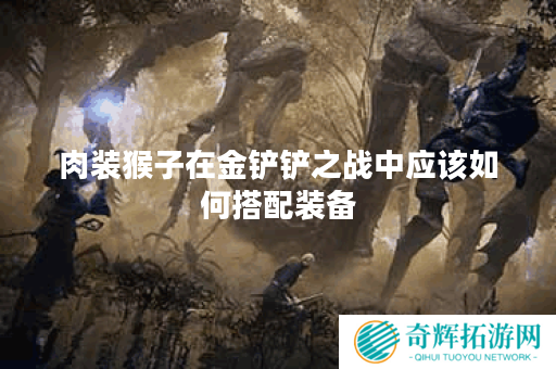 肉装猴子在金铲铲之战中应该如何搭配装备？金铲铲肉装猴子出装攻略分享