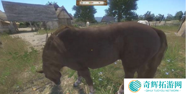 《天国：拯救》惊现巫师3彩蛋 马厩出现杰洛特爱骑