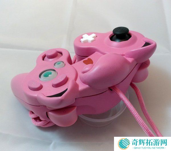 玩家自制宝可梦胖丁手柄 造型魔性诡异