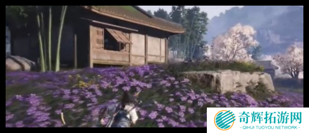 燕云十六声花海宝箱在哪