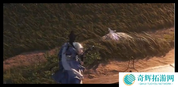 燕云十六声藏贤岗蹊跷怎么收集