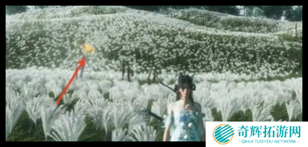 燕云十六声宝箱位置怎么显示