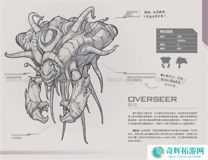 星际争霸2兵种图鉴大全图四 星际争霸2兵种图鉴大全图四