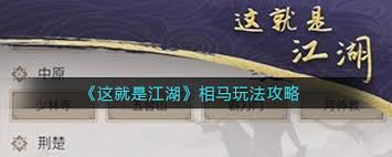 这就是江湖如何进行相马教学