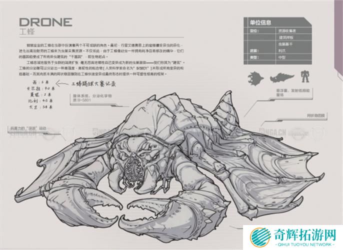 星际争霸2兵种图鉴大全图十 星际争霸2兵种图鉴大全图十