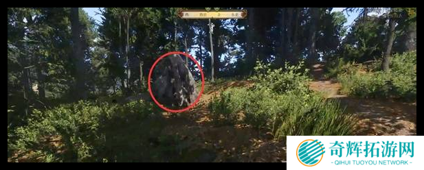 天国拯救2湖中之斧支线任务怎么做