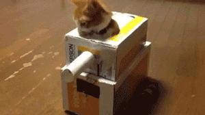 Labo是低能还是新颖？ 任天堂将免费提供模型设计图