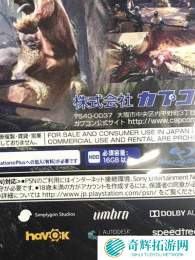 意料之外？《怪物猎人世界》PS4版容量曝光