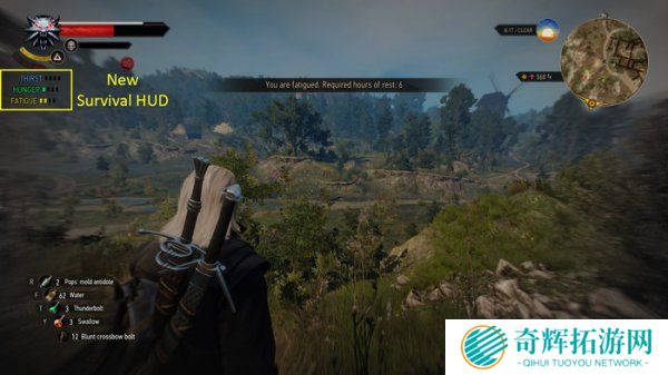 《巫师3》发布终极MOD 角色模型伤害更真实