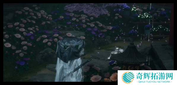 燕云十六声芳菲有情笺风信花在哪