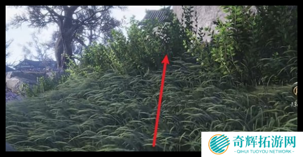 燕云十六声清河特殊蹊跷在哪