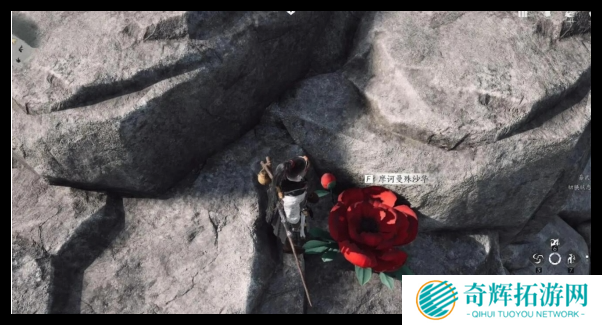 燕云十六声来生岸之一花中愿任务怎么做