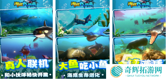 有没有耐玩的打鲨鱼游戏2025流行的打鲨鱼游戏下载推荐