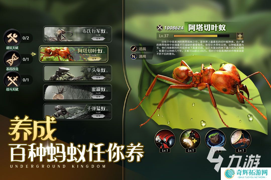 2025团队游戏排行榜前十名有哪些 热门的组队游戏合集