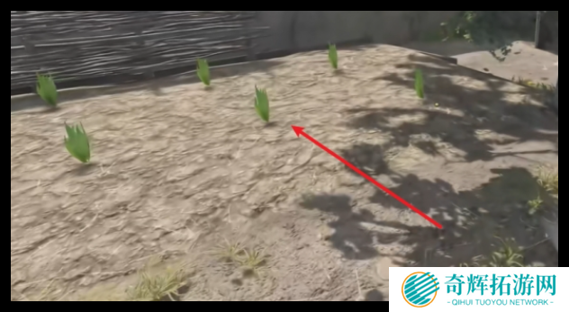 天国拯救2酒后吐真言支线任务怎么做