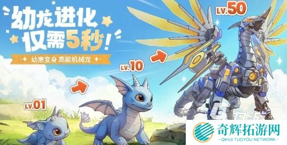 龙骑士学园下载地址在哪 龙骑士学园下载分享