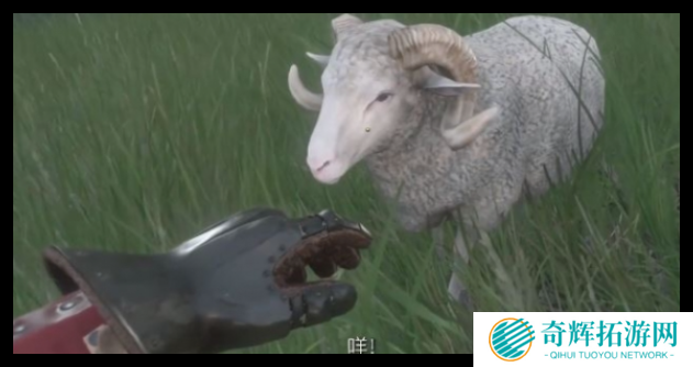 天国拯救2胡萝卜陷阱怎么设置