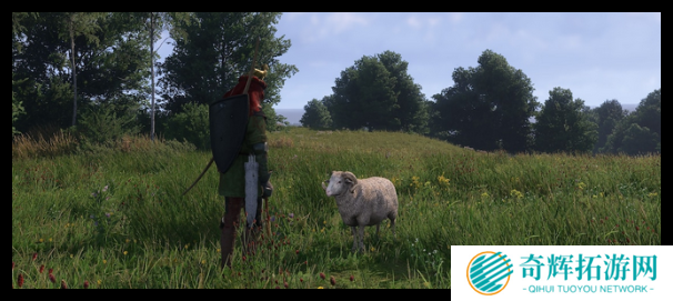 天国拯救2高举棕旗成就怎么做