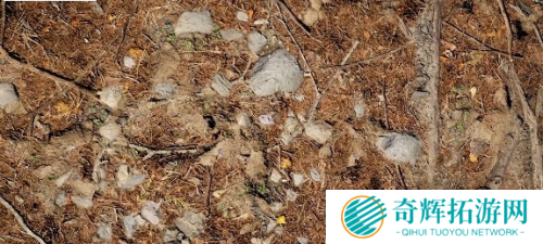 《孤岛惊魂5》新场景预告 画质全面提升支持海陆空玩法