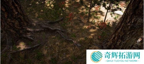 《孤岛惊魂5》新场景预告 画质全面提升支持海陆空玩法