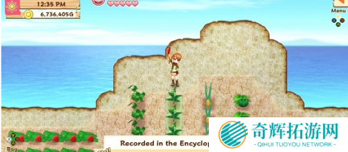 《牧场物语:希望之光》PC版即将上架 模拟经营类新作