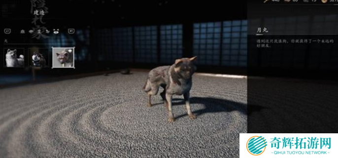 刺客信条影忠犬伸冤支线任务完成攻略图八