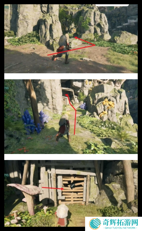 宣誓狮尾虎的骄傲护甲怎么得到