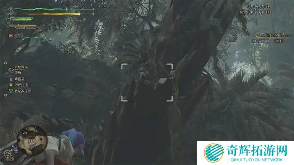 怪物猎人荒野端丽翼鸟在哪里