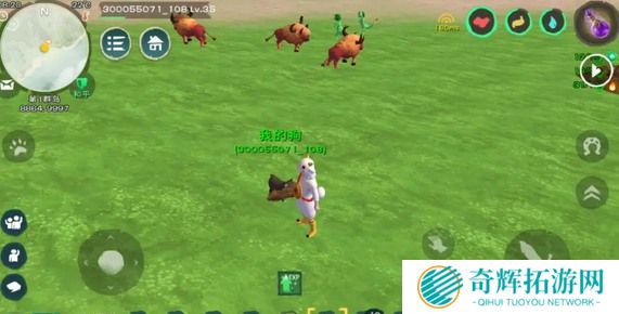 创造与魔法龙涎草位置一览图三