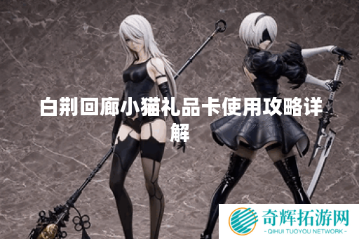 白荆回廊小猫礼品卡使用攻略详解
